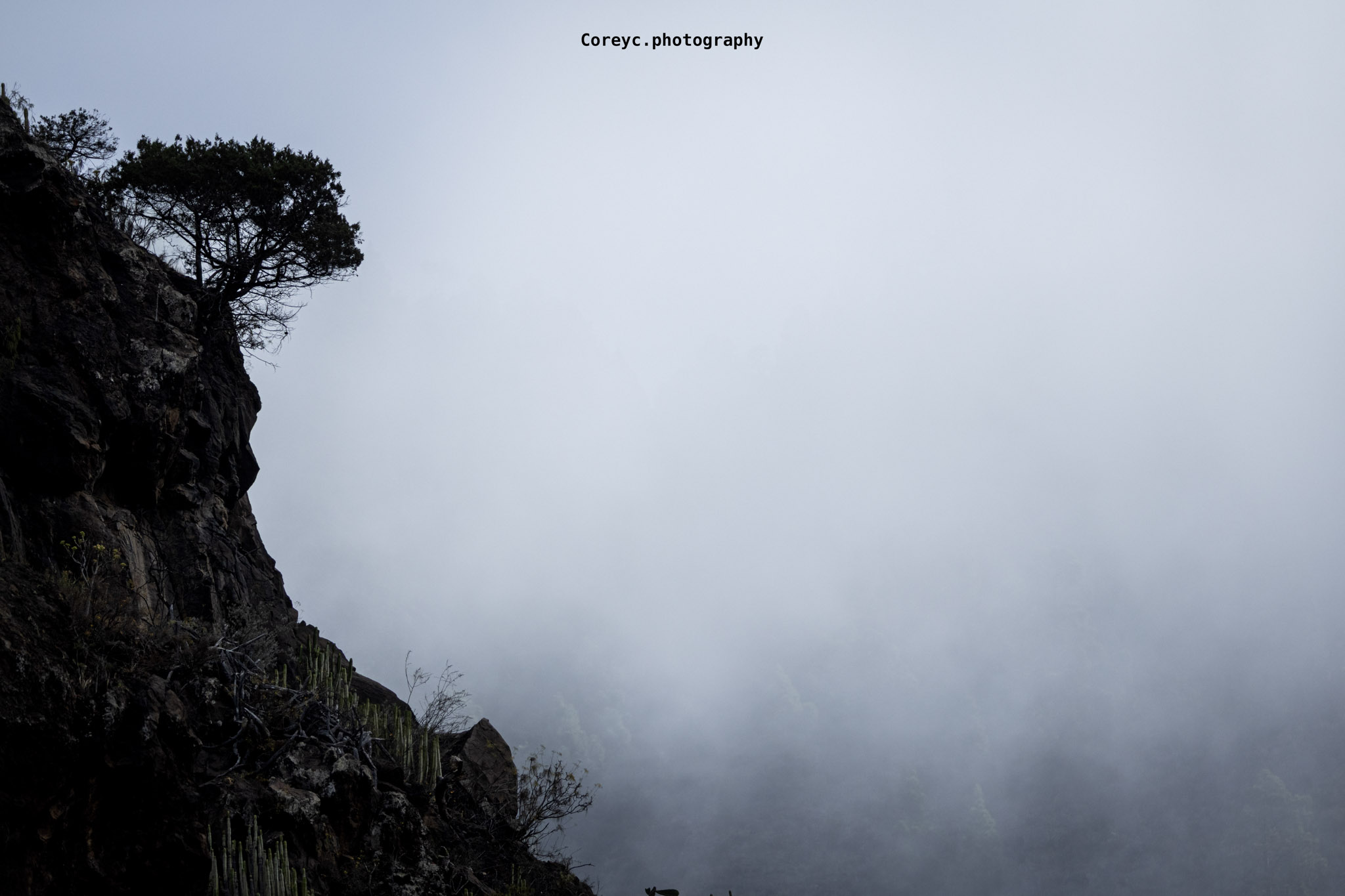 Cliff edge emerging through mountain fog